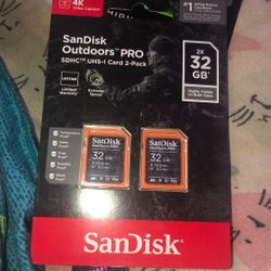 Sandisk