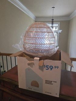 Brand New Light Fixture