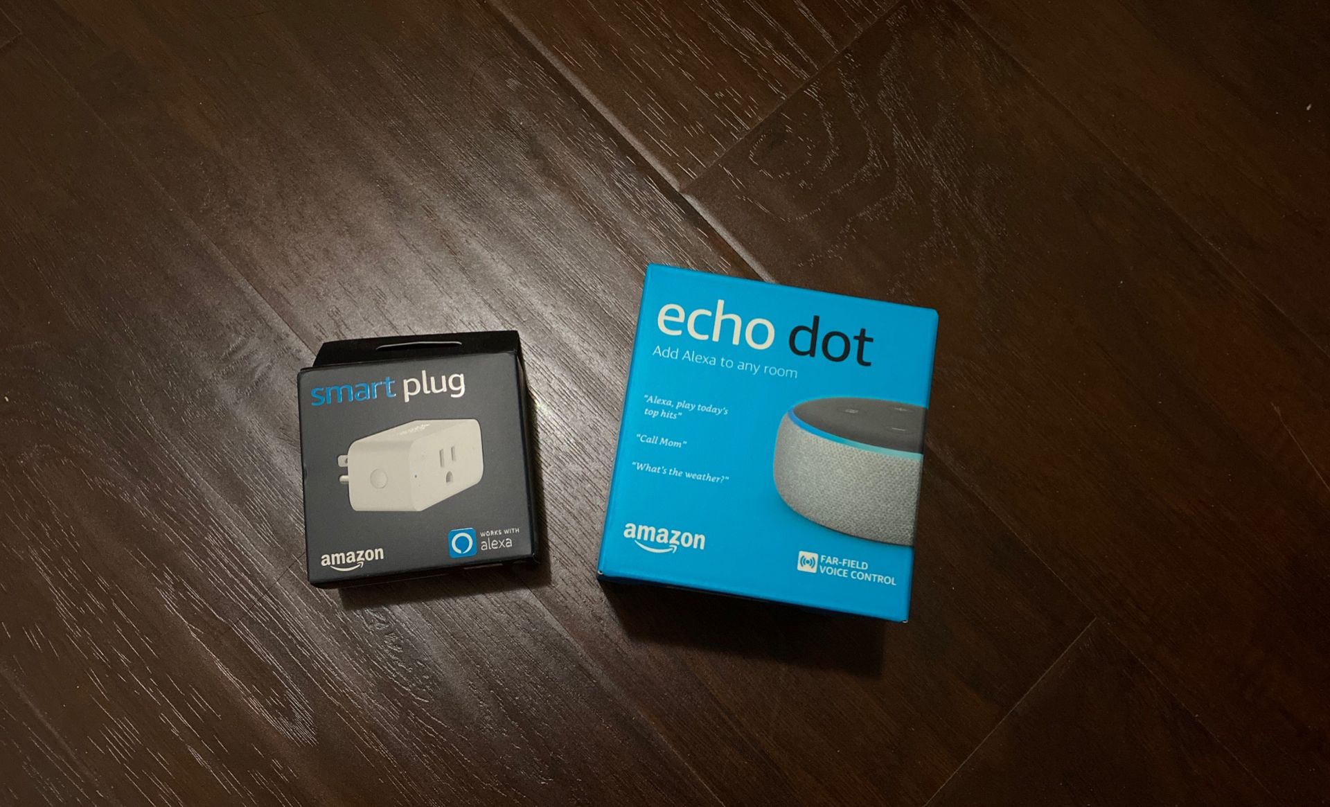 Amazon Smart Home Devices (Echo Dot 3, Smart Plug)
