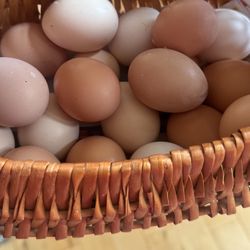 Fresh Eggs 