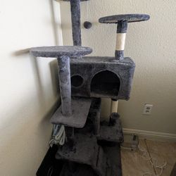 Cat Tower