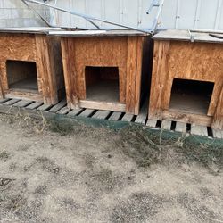 Dog Houses