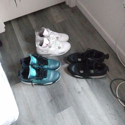 Jordan 4 " Collection"