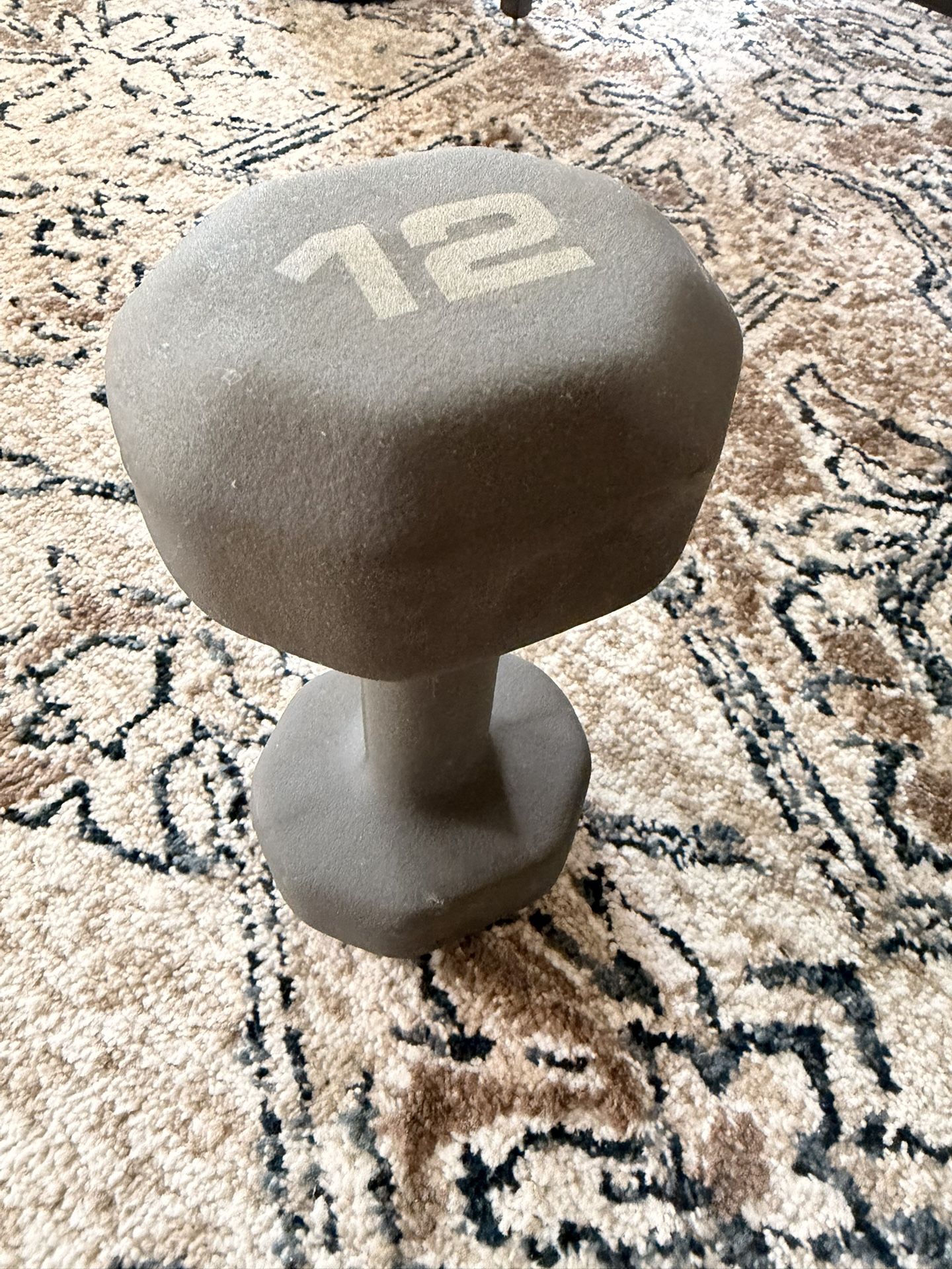 12 lb Dumbbell Weight