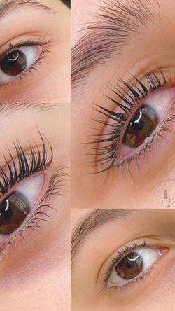 LASHLIFTCA