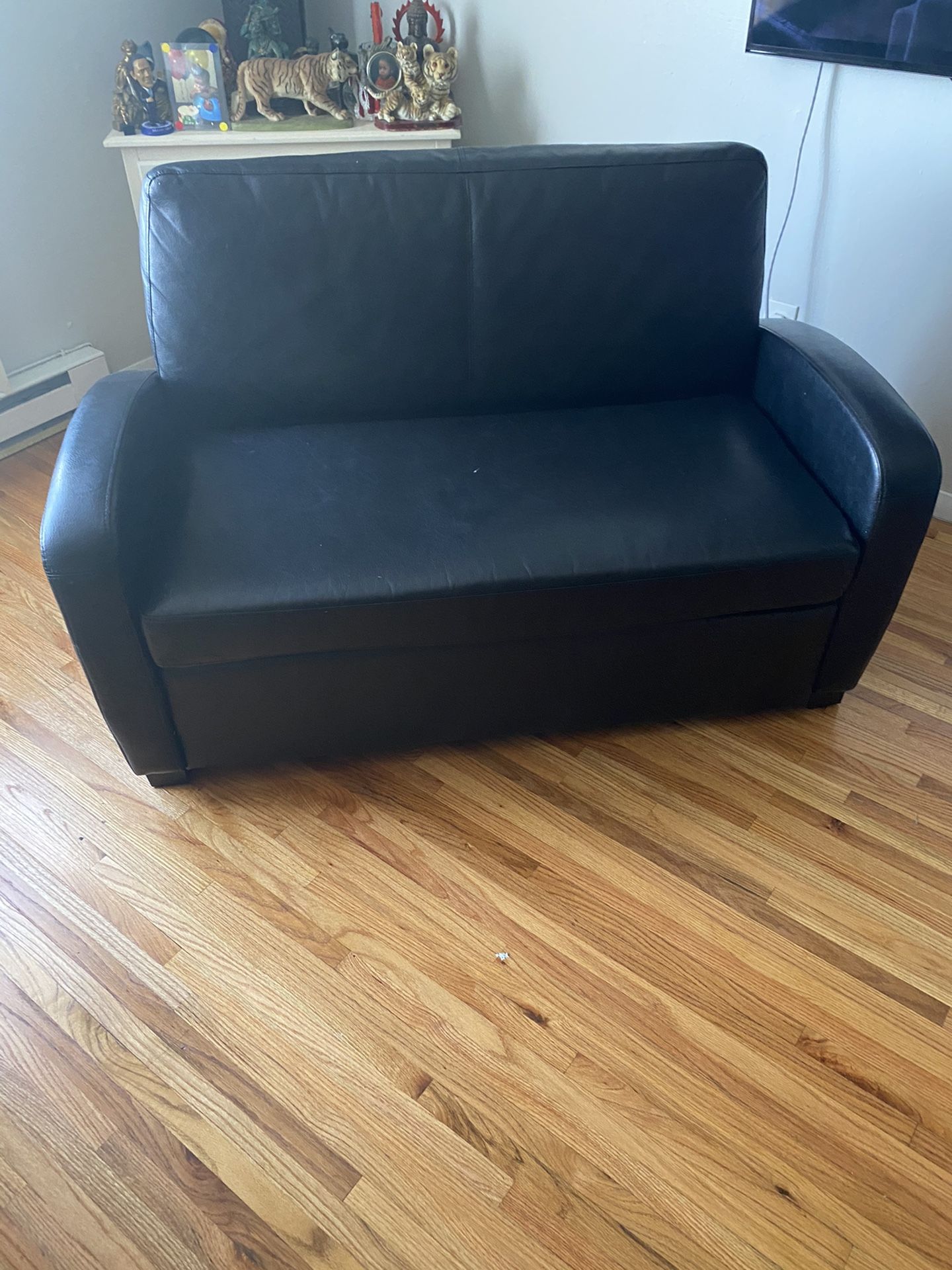 Sleeper Sofa