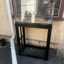 20 Gallon Tank With Stand