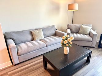 Crate and Barrel Couch Set