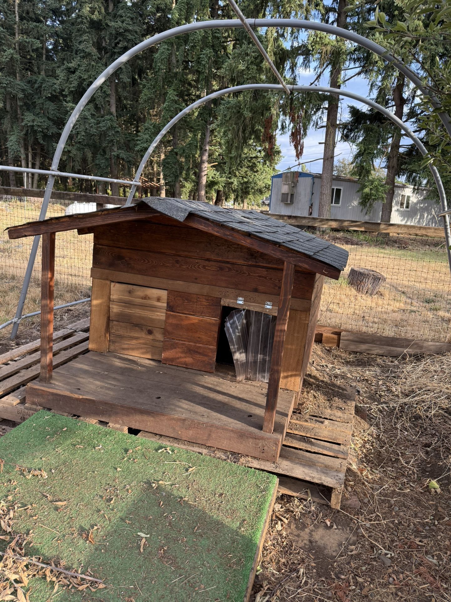 Big Dog House