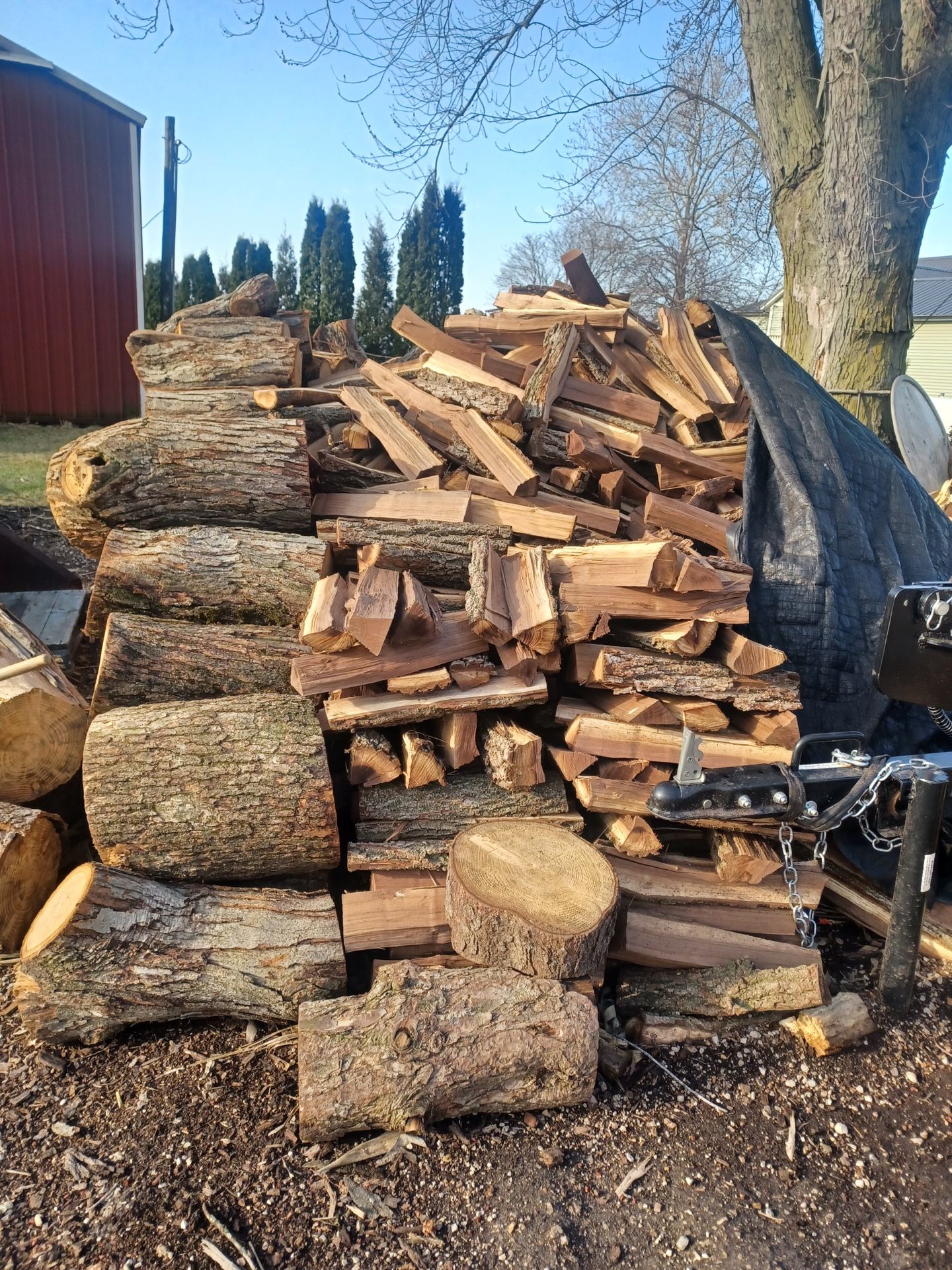 Firewood
