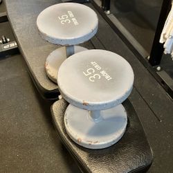 35lb Dumbbells 
