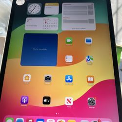 Ipad Pro 12.9 Fourth Generation 128 Gb Cellular Unlocked Any Carrier?