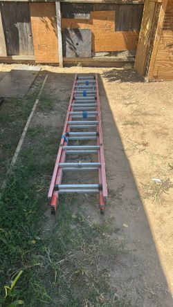 12ft Extension Ladder
