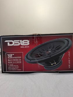 12in subwoofer & amp