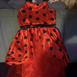 Ladybug Costume