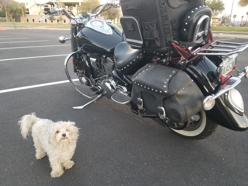 2004 yamaha midnight star 1700