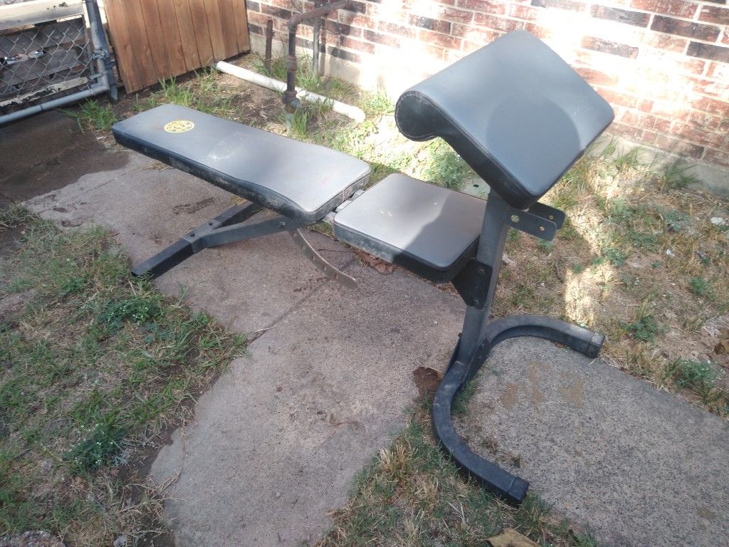Gold's gym work out bench