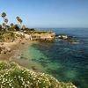 Native San Diegan