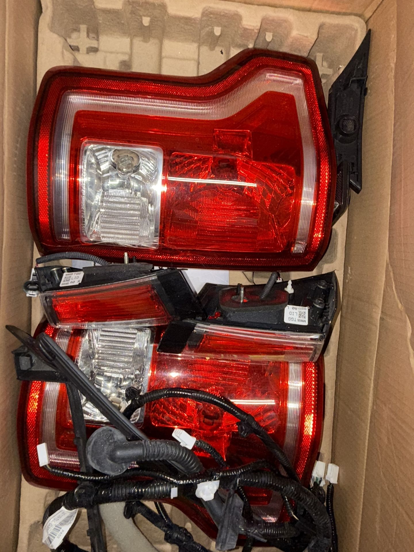 Tail Light Bulb Left Driver Side Clear & Red Lens Lamp Hand Extended Truck for Ford for F150