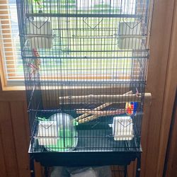 Bird Cage $40