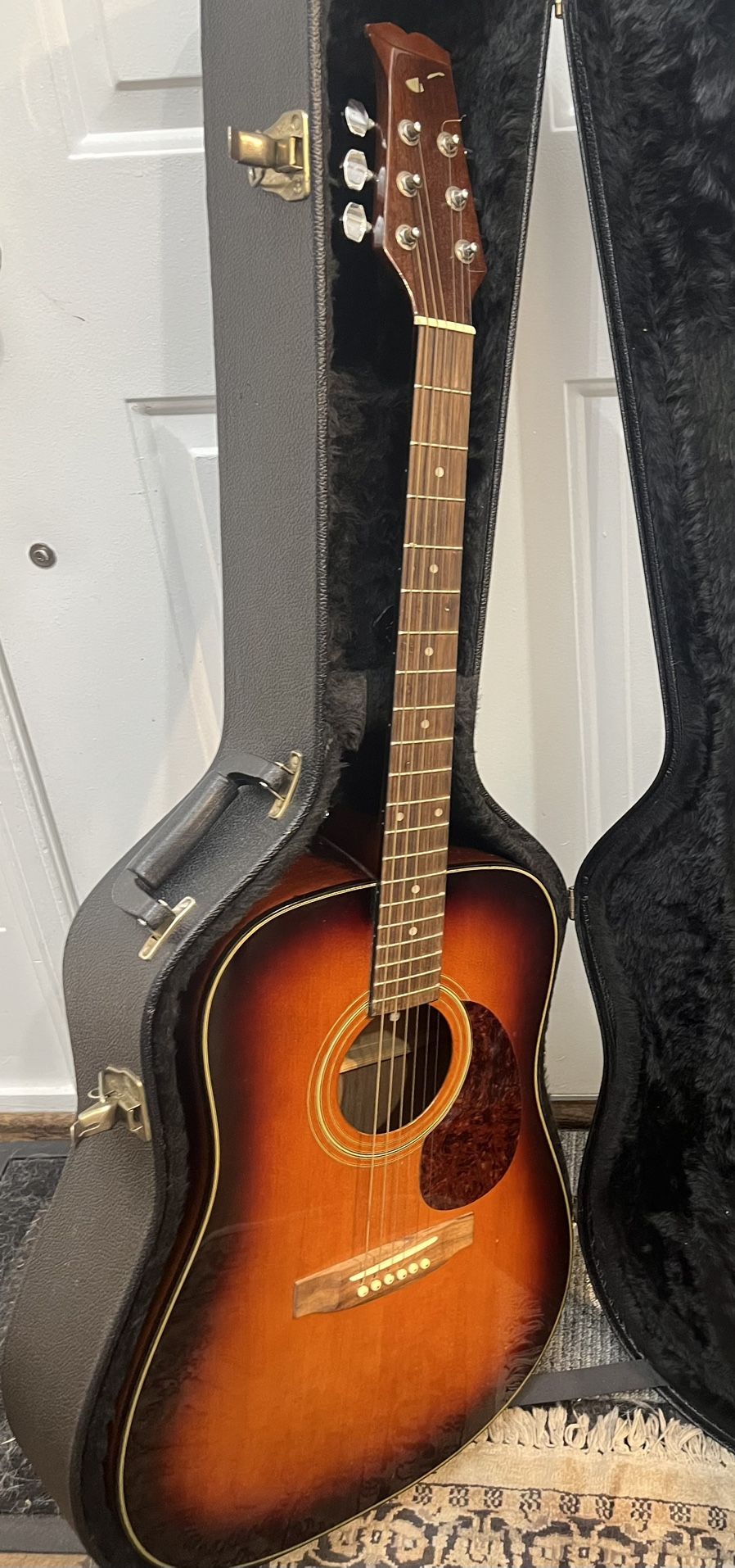 Reedman Acoustic Guitar And Ibanez Case