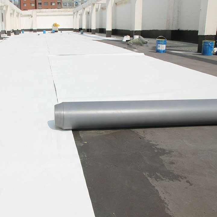 Tpo Rolls & Gray Detail