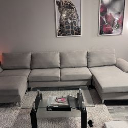 Sectional Couch 
