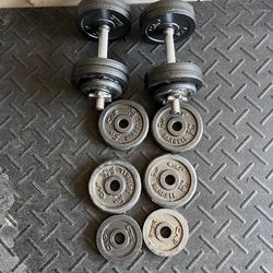 Dumbbell Weights with Bars