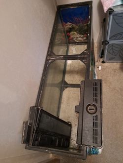 75 Gallon Fish Tank