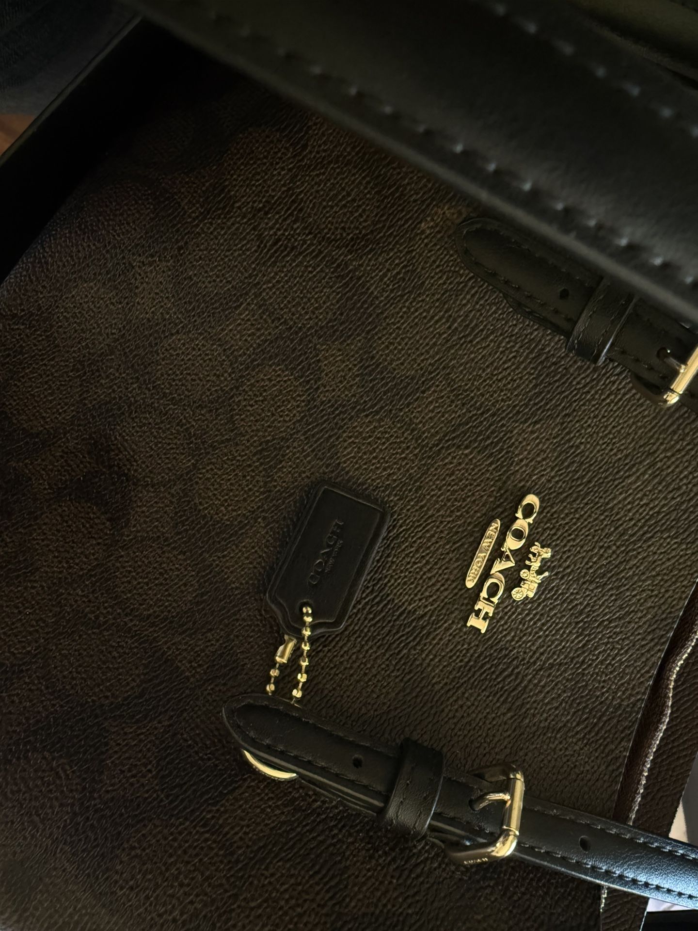 Coach Small Mollie Tote Bag