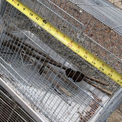 Bird Cages For Small & Medium Bird 