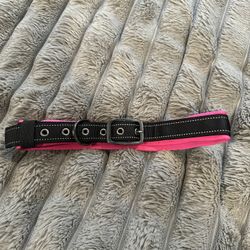 Dog Collar 