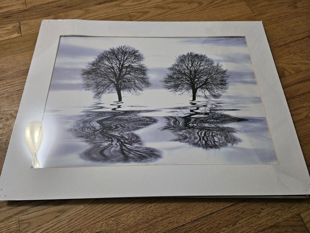 Unframed, White Mat, 18x24 Art Print