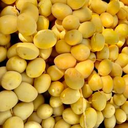 CRUNCHY YELLOW BARHI DATES 30 & 15 POUNDS