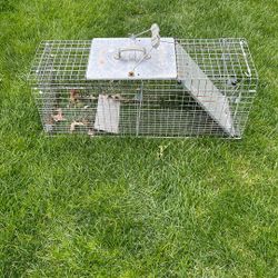 10 x 11 x 32 trap