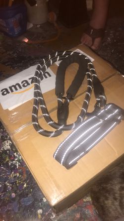 Dog collar n leash