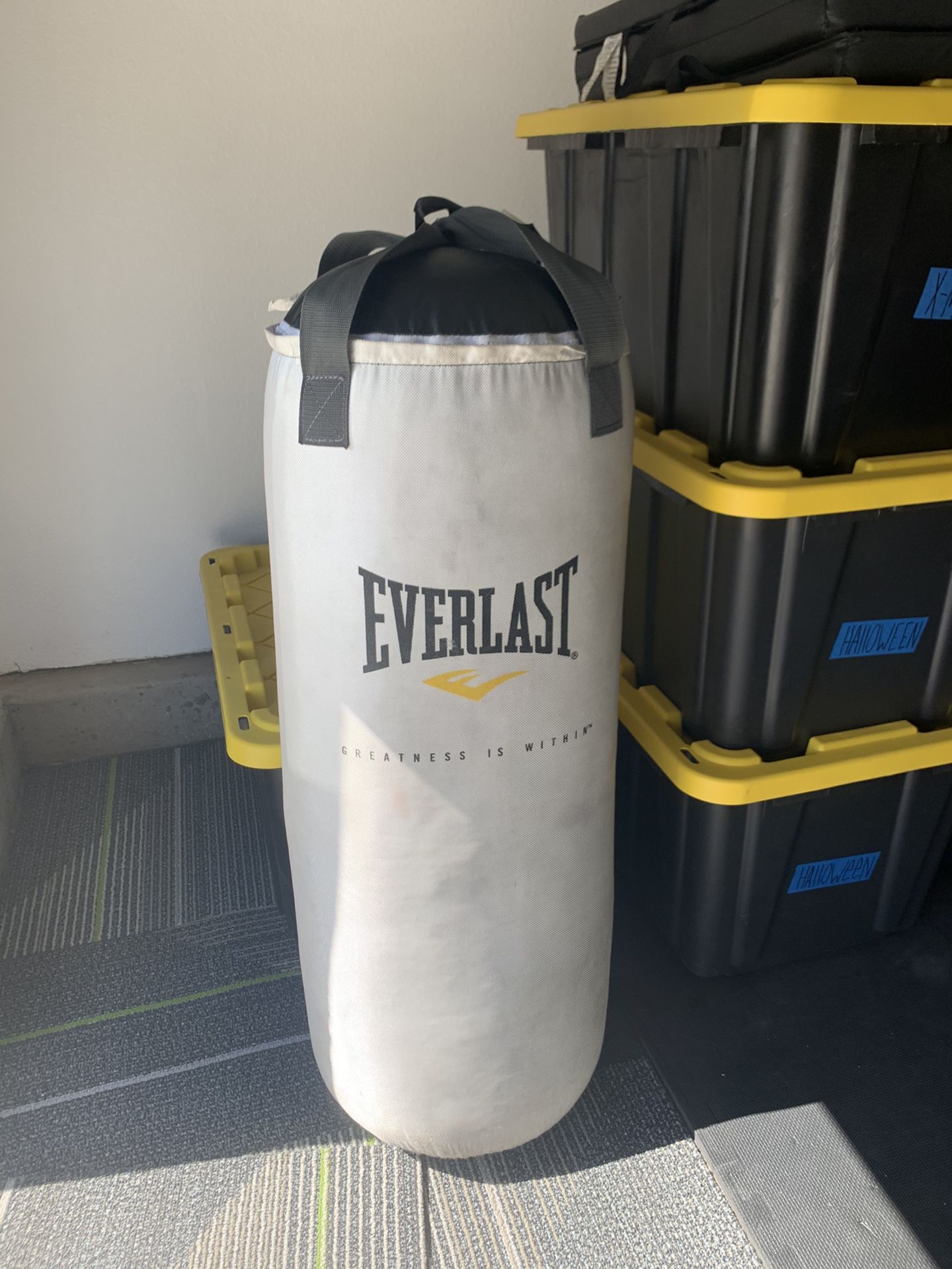 Everlast punching bag