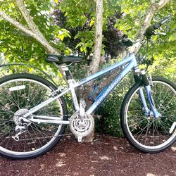 Specialized Commuter Bike "S"