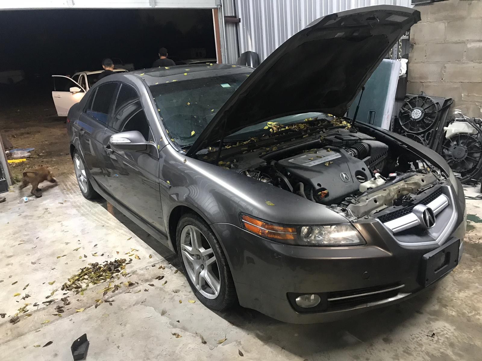 Acura TL 2007-2008 transmission and doors left