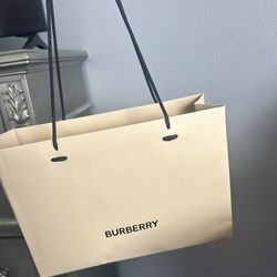 Authentic Luxury Shopping Bag