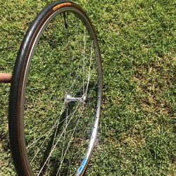 Ambrosio Elite rim w/ Campagnolo front hub- new Continental Tire