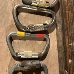 Rock D Carabiners