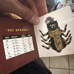 Spider Costume For Dog