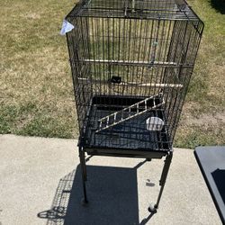 Bird Cage