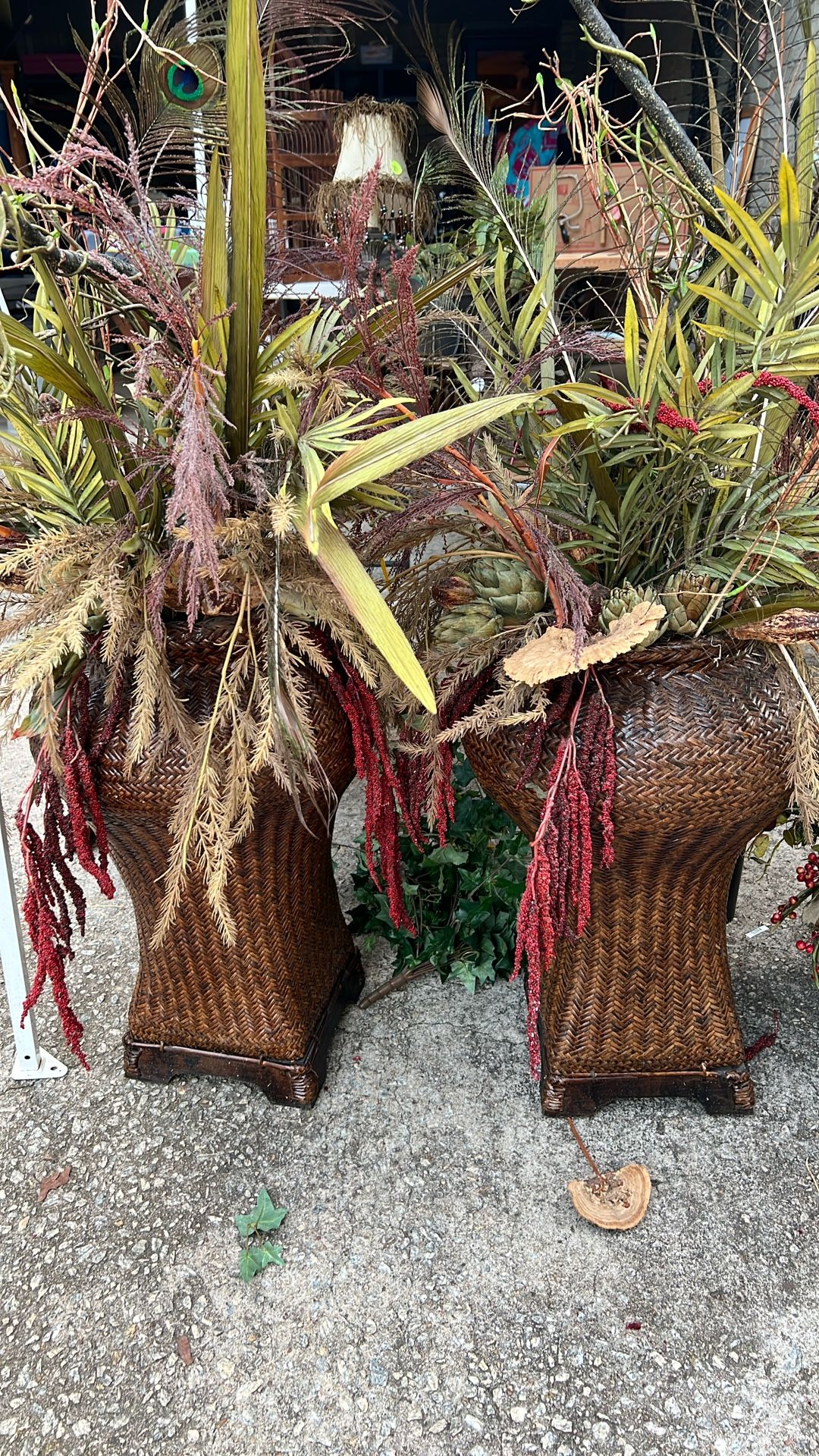 Basket/plants
