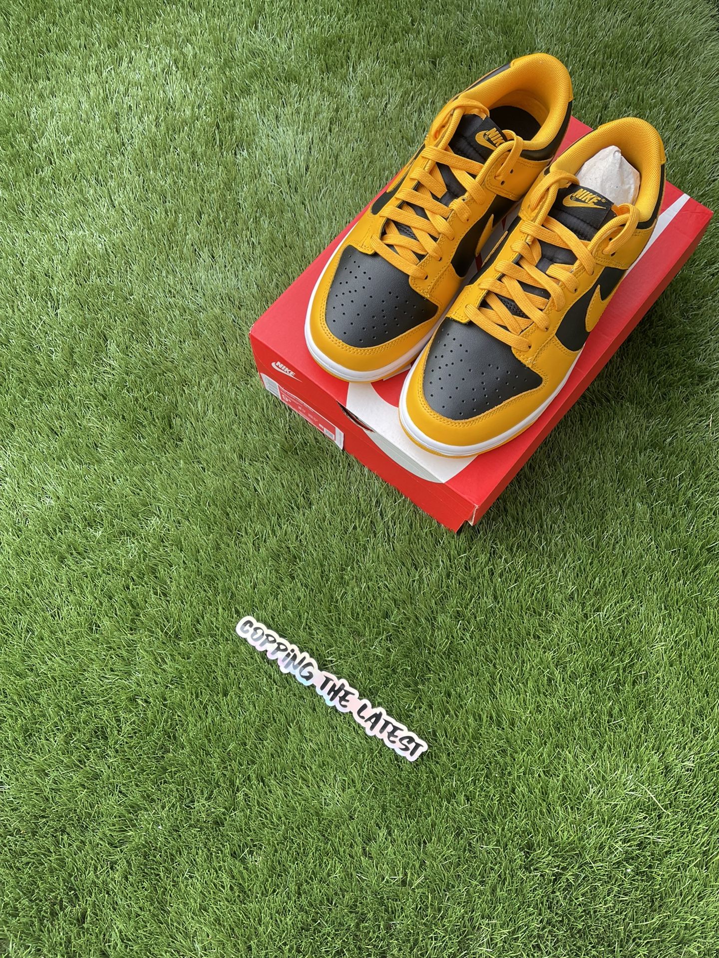 Nike Dunk Low Championship Goldenrod Size 9.5