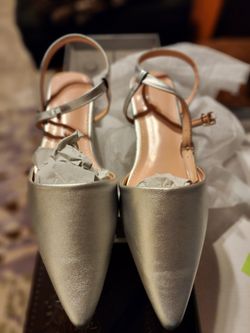 Silver Shoes