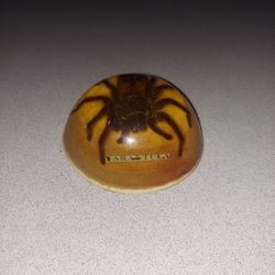 VINTAGE TARANTULA LUCITE 4" DOME PAPERWEIGHT ACRYLIC TAXIDERMY SPIDER