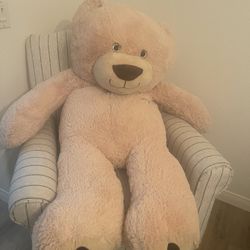 Teddy Bear