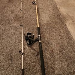 Shakespeare Tiger Spinning Combo